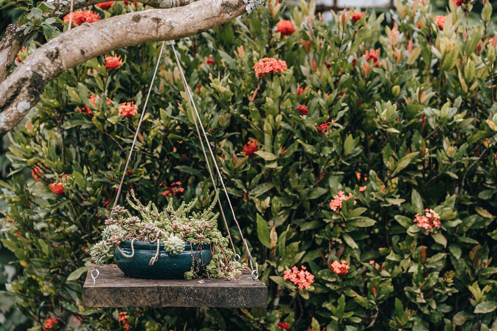 Jardim Pousada 4 Irmãos