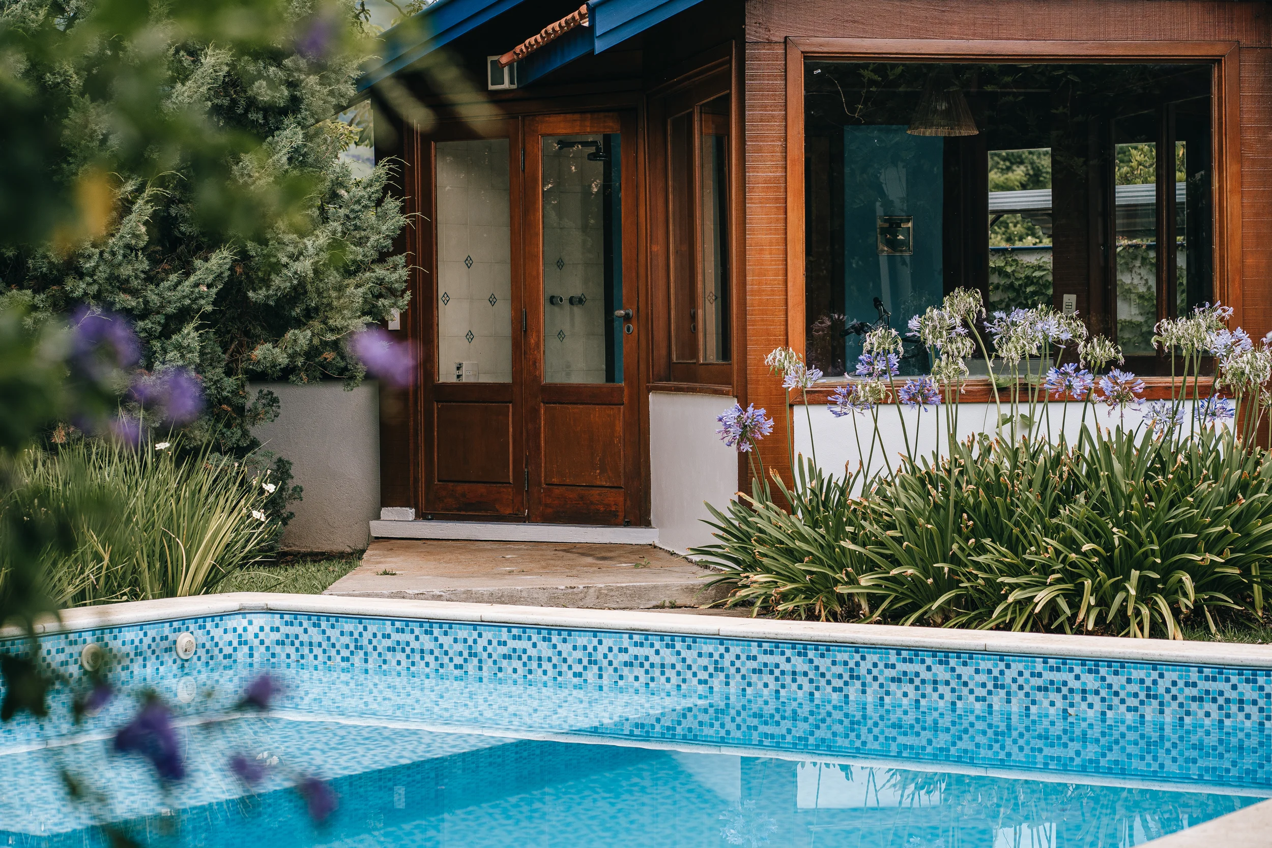 Piscina rodeada de flores e folhagens